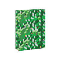 kolsk box A5 Green Pixel REYBAG