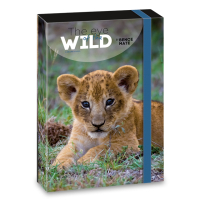 kolsk box A4 Wild Lion ARS UNA