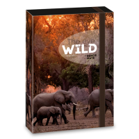 kolsk box A4 Wild Elephant ARS UNA