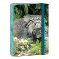 kolsk box A4 Serenity CAT ARS UNA