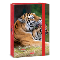 kolsk box A4 Serenity TIGER ARS UNA