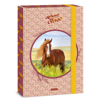 kolsk box A4 My Sweet Horse ARS UNA