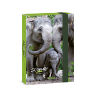 kolsk box A5 Serenity ELEPHANT ARS UNA