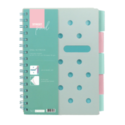 pirlov zoit A4 100l linkovan STREET Pastel green