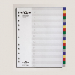 Rozradova plastov DURABLE A4 20dielny MAXI