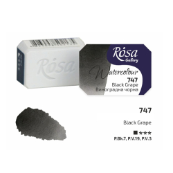 Akvarel farba Rsa Gallery 2,5ml black grape 747