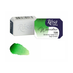 Akvarel farba Rsa Gallery 2,5ml green sap 728