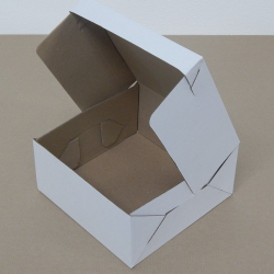 Krabica na zkusky 20x20x9 s potlaou
