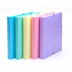 Plastov box s gumikou A4 3cm PASTELINI fialov