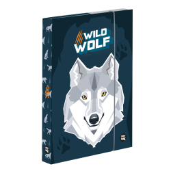 kolsk box A4 Wolf PP24