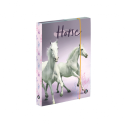 kolsk box A5 HORSE PP