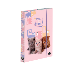 kolsk box A5 Pets PP25