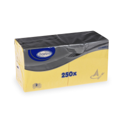Papierov obrsky 24x24cm/250ks 2 vrstvov lt 85905