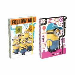 kolsk box A5 MINIONS LZ18