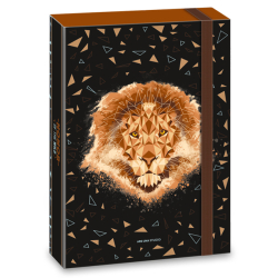kolsk box A4 HONOR of the WILD ARS UNA