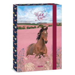 kolsk box A4 Wild and Free ARS UNA