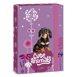 kolsk box A4 Cute animals Puppy ARS UNA