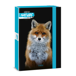 kolsk box A4 SPIRIT OF NATURE FOX ARS UNA