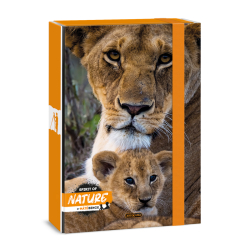 kolsk box A4 SPIRIT OF NATURE LION ARS UNA