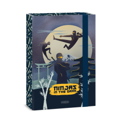 kolsk box A4 Ninjas in the dark ARS UNA