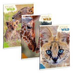 Zoit A4 40 listov Icons of the wild ARS UNA