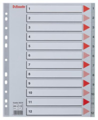 Register, plastov, A4 Maxi, 1-12, ESSELTE, siv