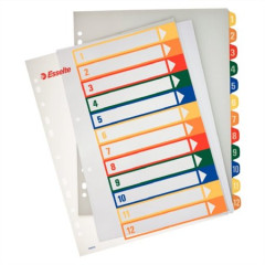 Register, plastov, A4 Maxi, 1-12, potlaiten, ESSELTE, priehadn