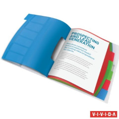 Organizr, A4, 6 dielny, plastov, ESSELTE "Vivida", priehadn