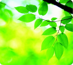 Podloka pod my, recyklovan, FELLOWES "Earth Series", listy
