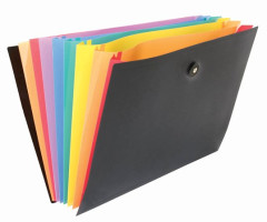 Harmonikov taka, PP, 8 zloiek, VIQUEL "RainbowClass", ierna