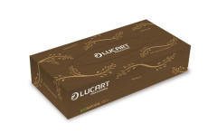 Kozmetick utierky, 2-vrstvov, 100 ks, LUCART "EcoNatural", hned