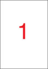 Etikety, 210x297 mm, polyester, APLI, priehadn, 10 etikiet/bal