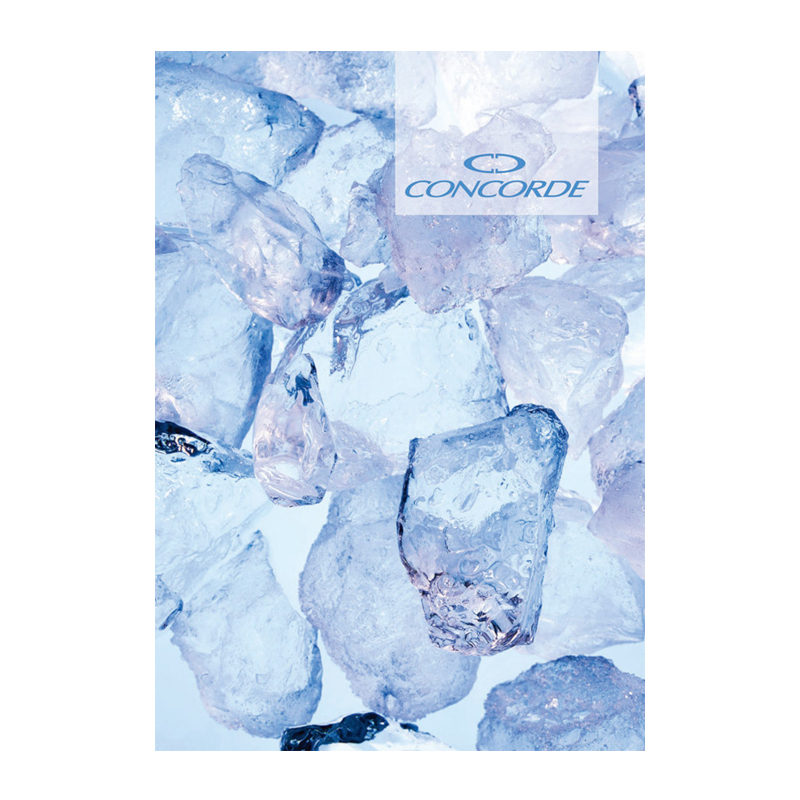 Záznamová kniha A4 100l štvorčeková