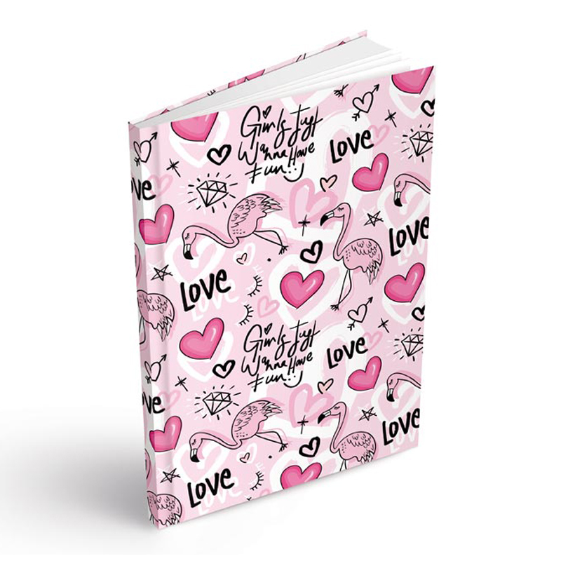 Záznamová kniha A5 100listová čistá MFP