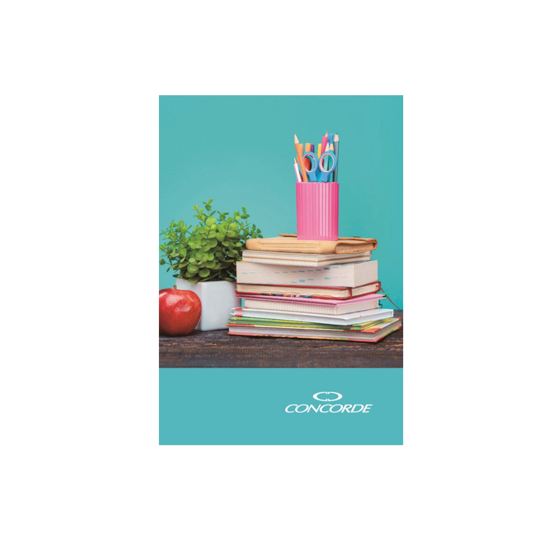 Záznamová kniha A6 100l čistá