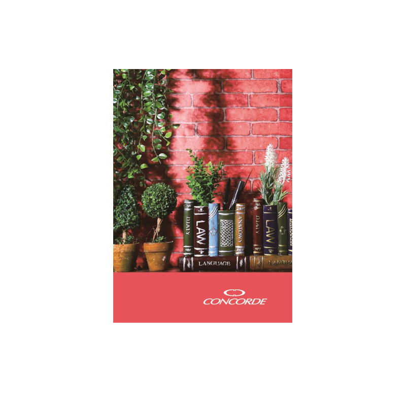 Záznamová kniha A6 100l čistá