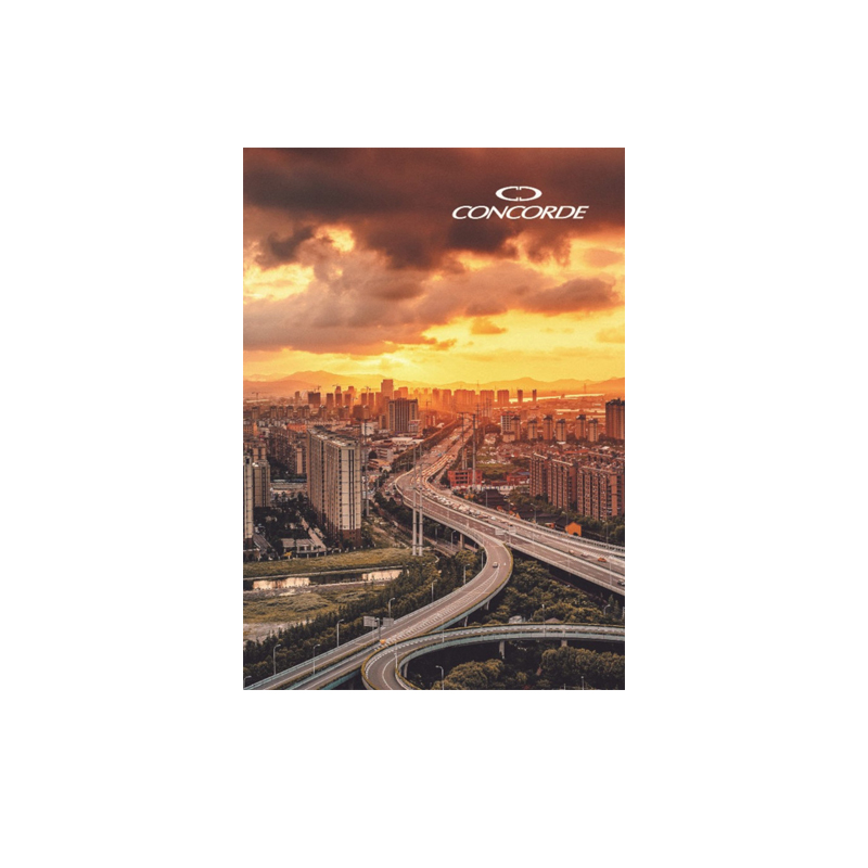 Záznamová kniha A6 100l čistá