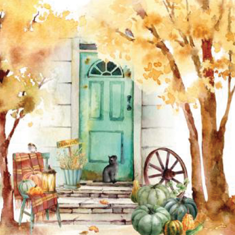 Papierové obrúsky TI-FLAIR 33x33cm 3 vrstvové 3-43216AU