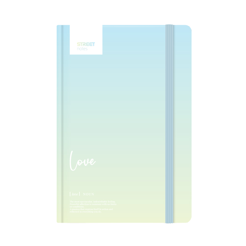 Zápisník A5 linkovaný 96l Dictionary Love