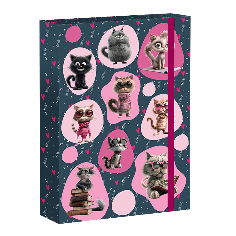 Školský box A4 Cat Life REYBAG
