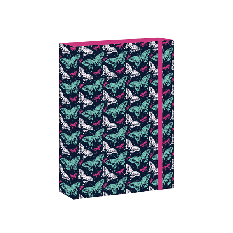 Školský box A5 Butterfly REYBAG