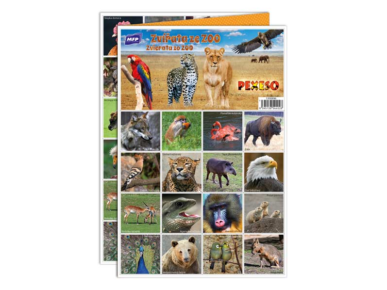 Pexeso Zvieratá zo ZOO