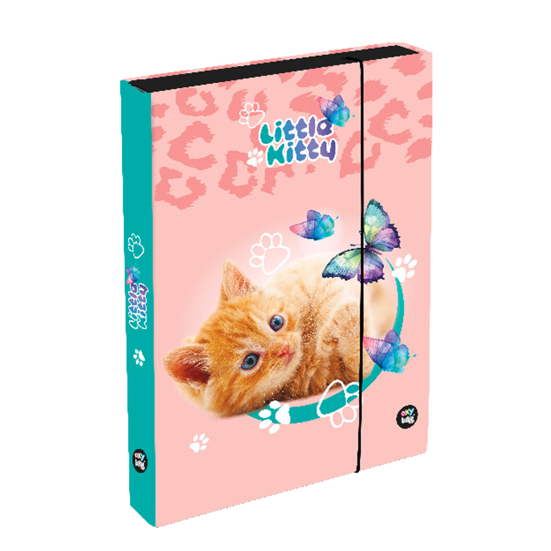 Školský box A4 Cat Jumbo PP26