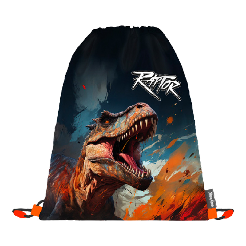 Taška na prezuvky Dino PP26