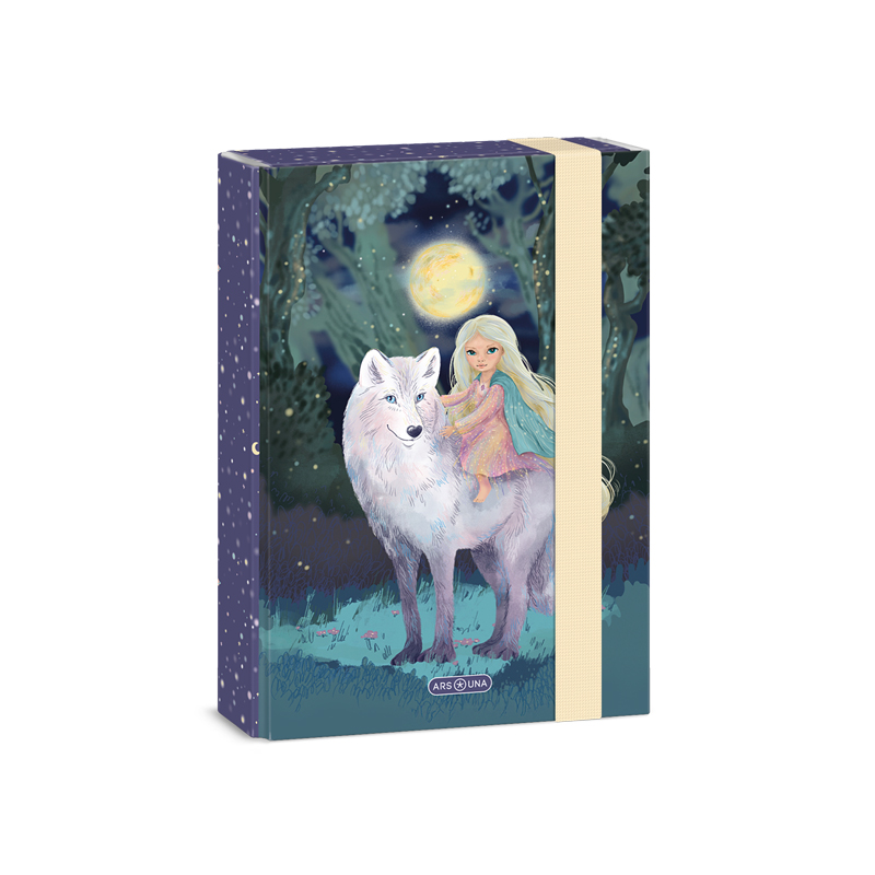 Školský box A5 Northern Lights ARS UNA