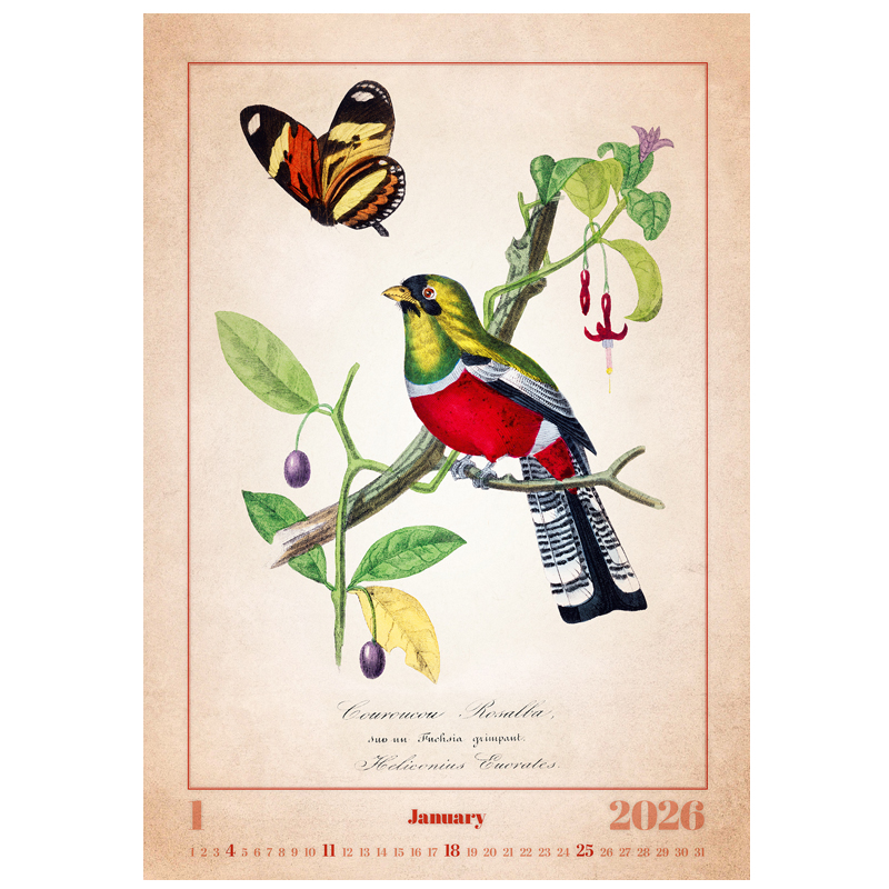 Nástenný kalendár Aviarium 26