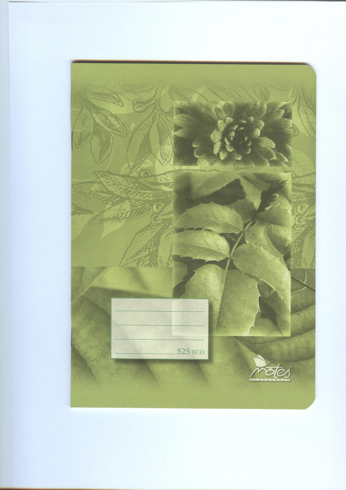 Zošit 525 štvorčekový 20listový EKO NOTES