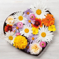 Papierov obrsky TI-FLAIR 33x33cm 3 vrstvov 3-40208RO