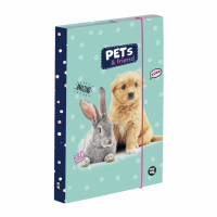 kolsk box A4 Pets PP23