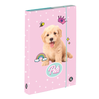 kolsk box A4 Pets PP24